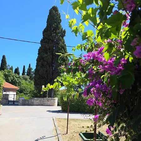 Trogir Apartments Apartment Trogir
